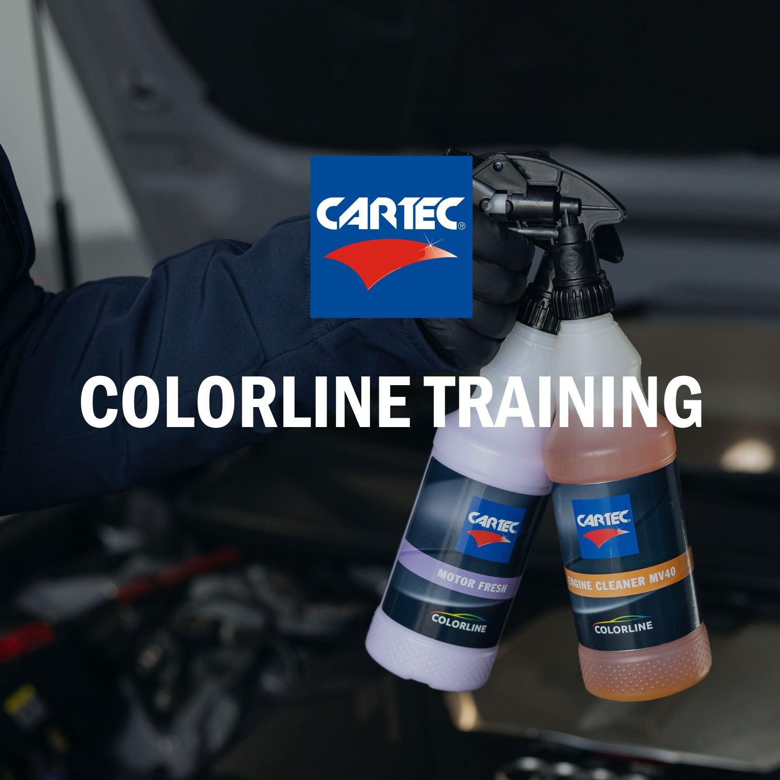 Colorline Training